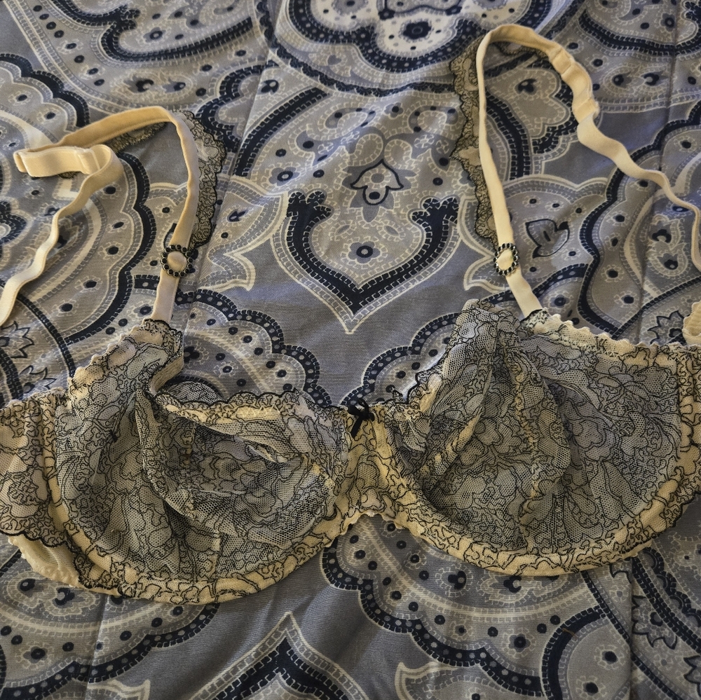 Marie jo bras size 34D